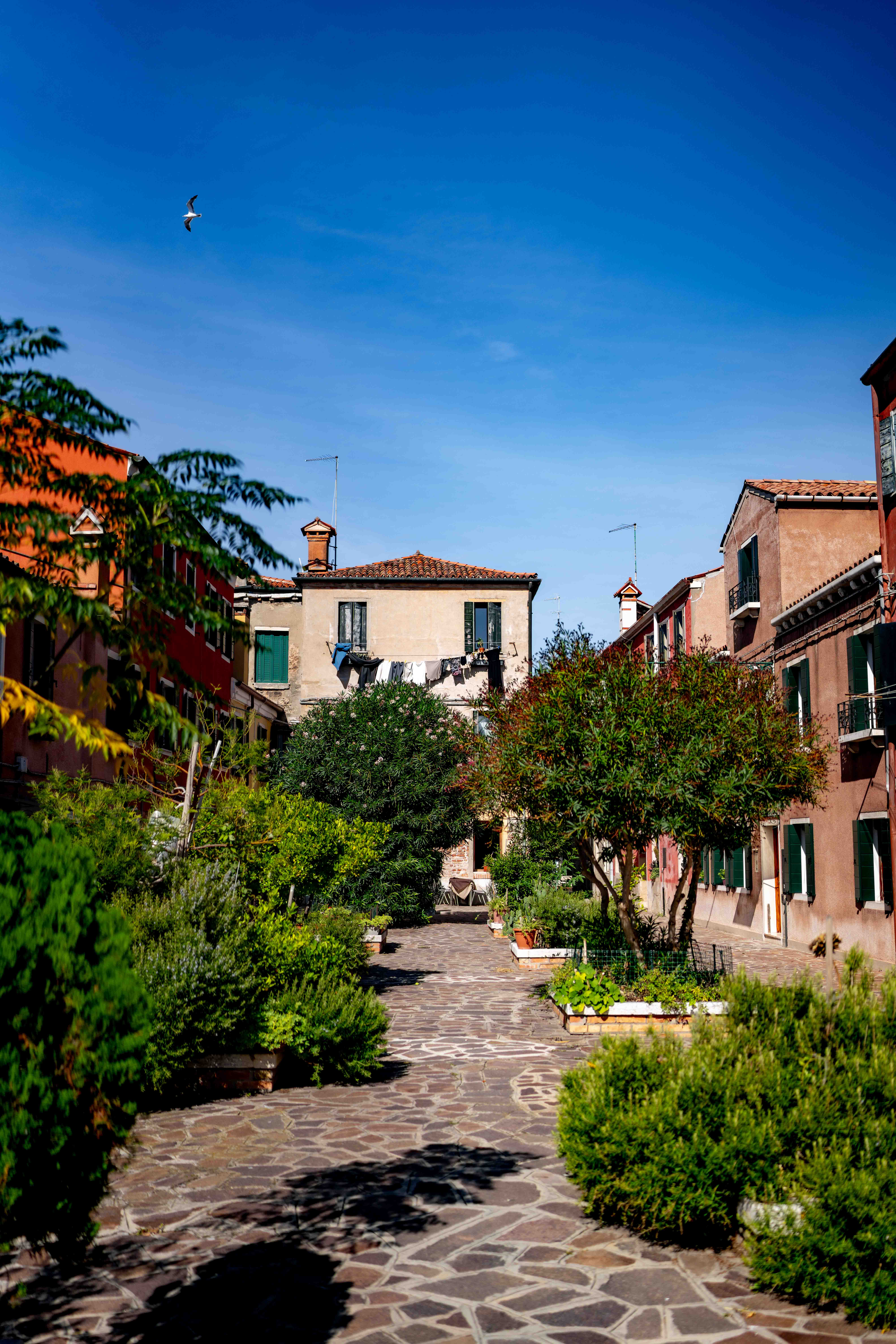 Photos from travel in Rome, Florence, Venice, Fall 2025.